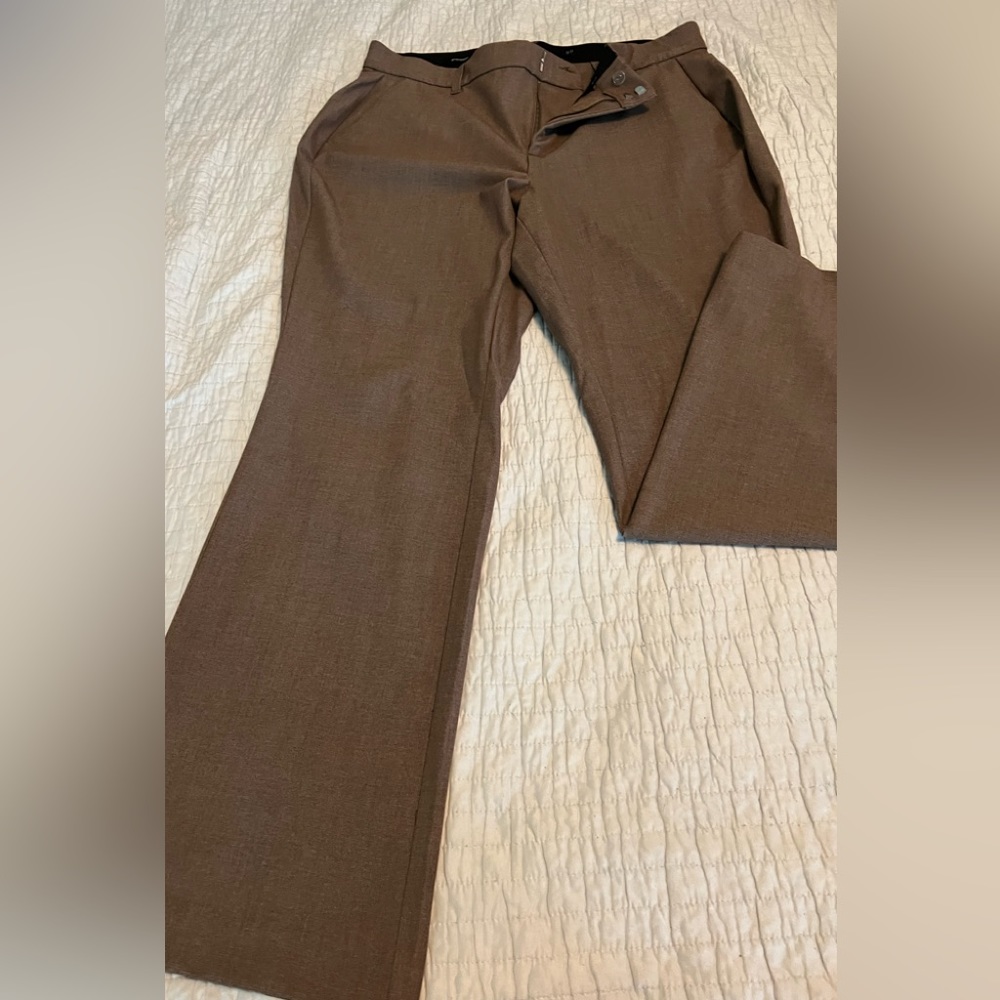 Torrid 16 reg pants brown